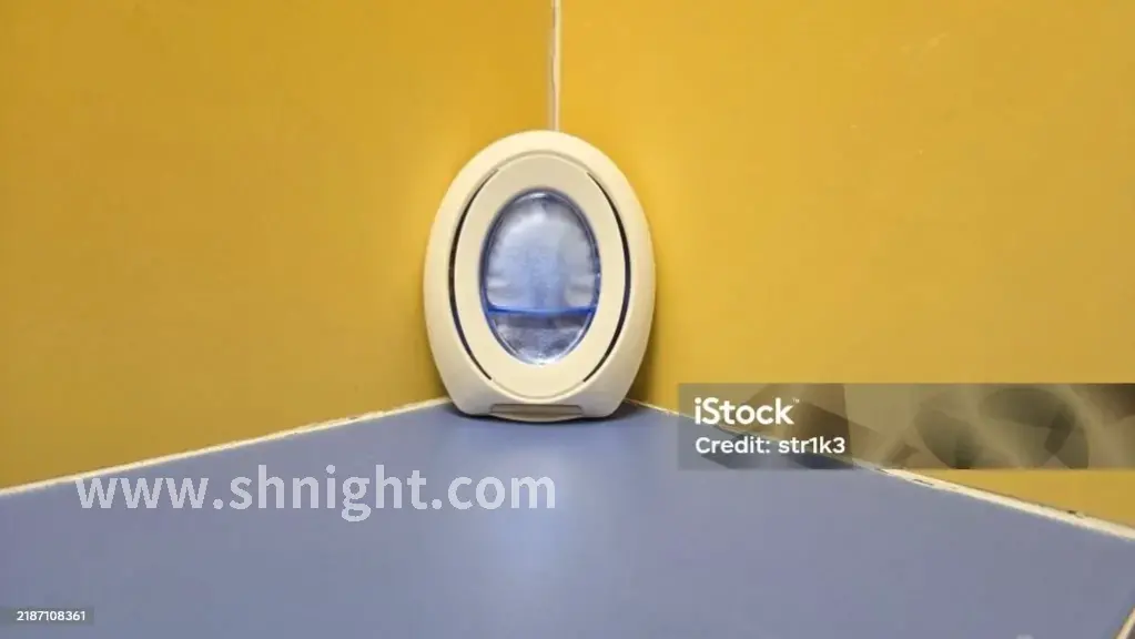 上海人养生