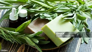 魔都按摩养生新潮流：不只是放松，更是对健康的投资！