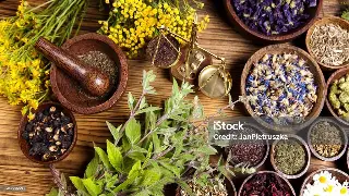 上海高端会所设施解析：从零基础入门到顶级养生享受