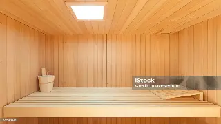 蒸汽腾腾的养生秘籍：解锁桑拿的正确姿势，告别亚健康！