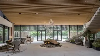 告别亚健康：魔都潮人的养生搭配秘籍，内调外养，活力满满！