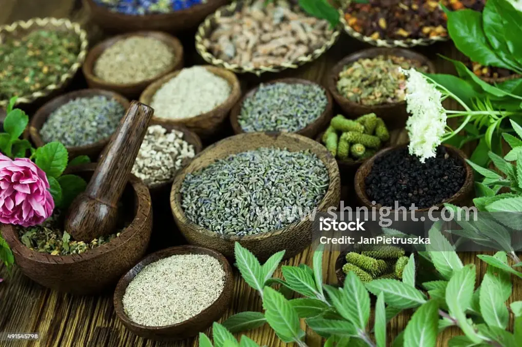 上海高品质桑拿体验