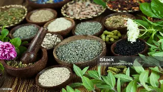 上海桑拿焕活身心：解锁疲惫灵魂的极致放松指南