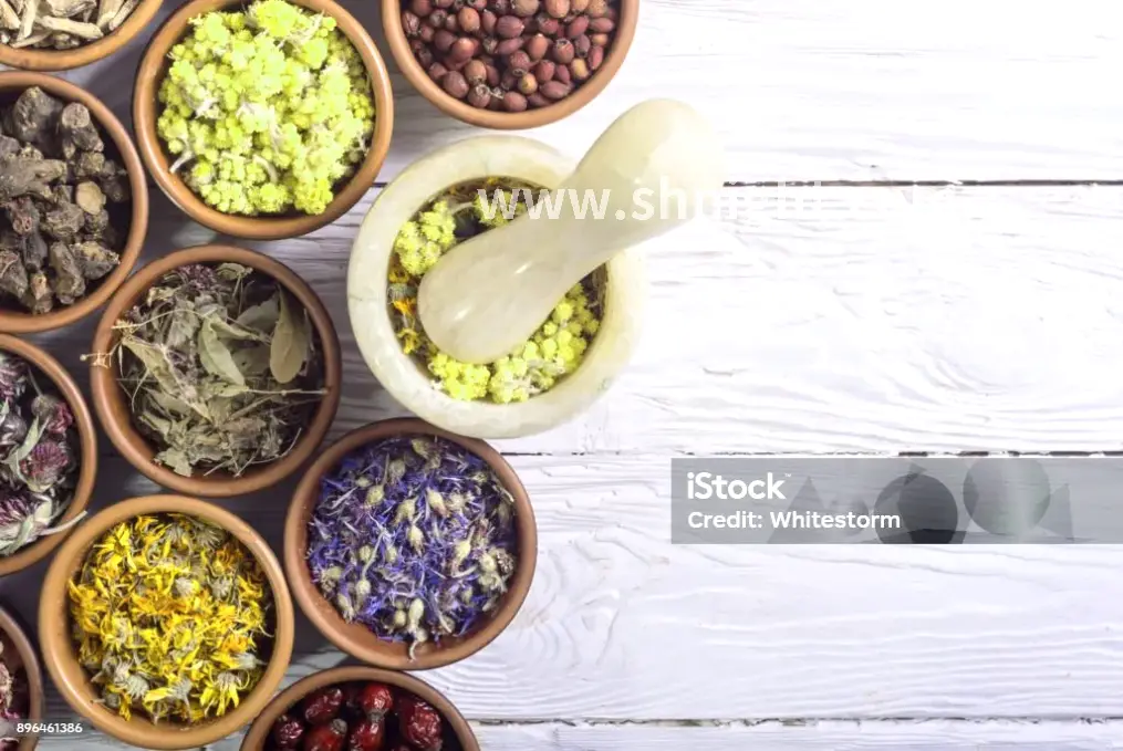 身体放松, 桑拿养生