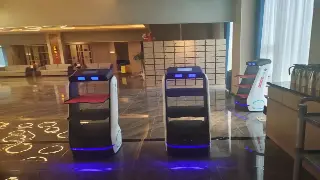 上海人看过来！这招养生搭配，让你的身体像开了挂一样舒坦 poster